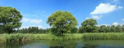 綠色產(chǎn)品認證，人造板、衛(wèi)生陶瓷、家具、建材、快遞包裝等認證